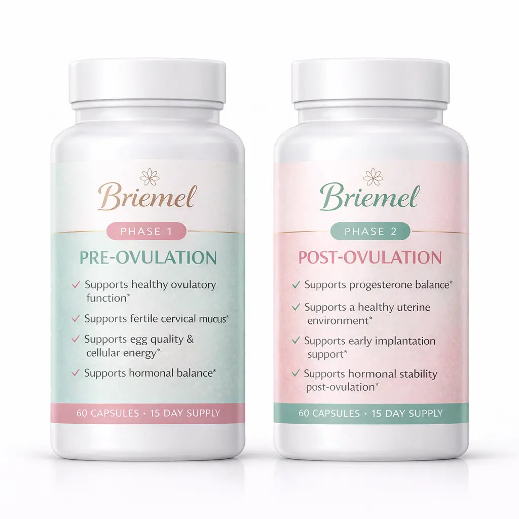 Conception Duo Briemel