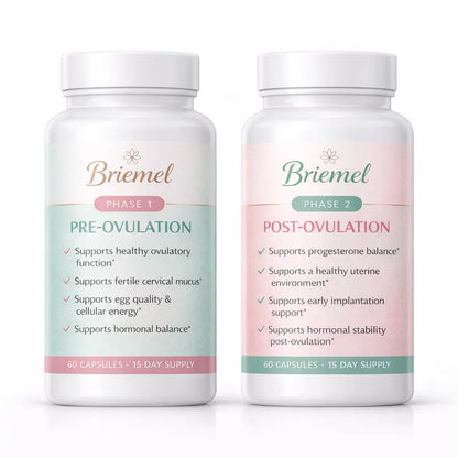 Conception Duo Briemel